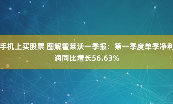 手机上买股票 图解霍莱沃一季报：第一季度单季净利润同比增长56.63%