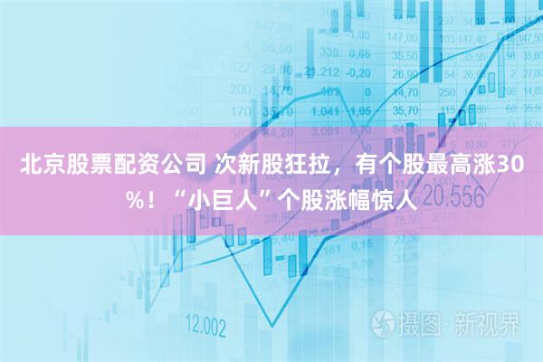 北京股票配资公司 次新股狂拉，有个股最高涨30%！“小巨人”个股涨幅惊人
